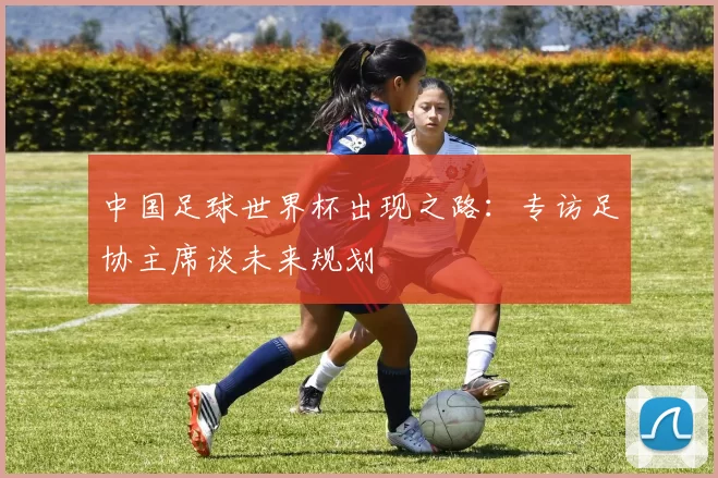 中国足球世界杯出现之路:专访足协主席谈未来规划