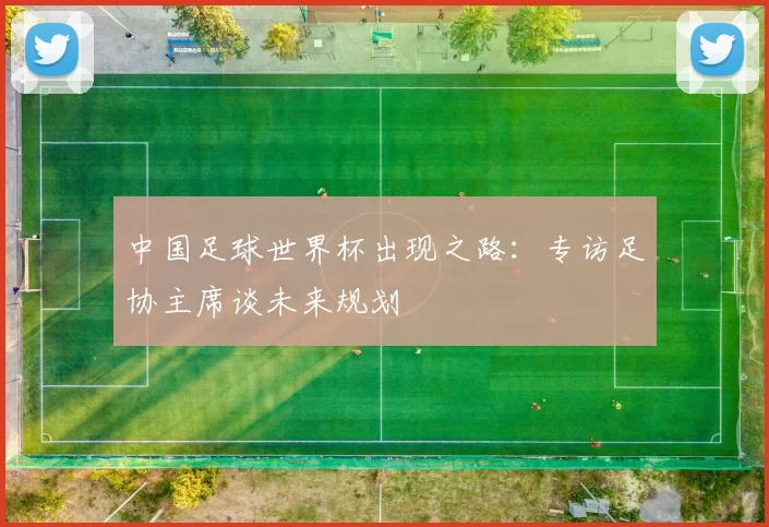 中国足球世界杯出现之路：专访足协主席谈未来规划