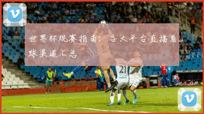 世界杯观赛指南:各大平台直播看球渠道汇总