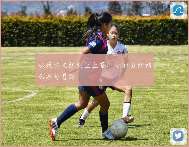 从死亡之组到上上签:小组分组的艺术与悬念