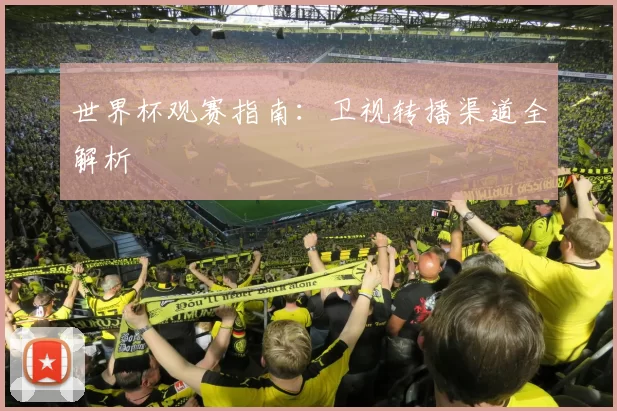 世界杯观赛指南:卫视转播渠道全解析
