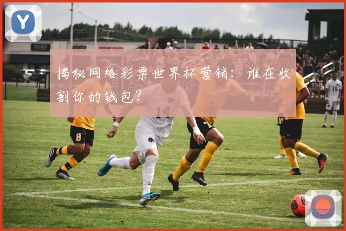 揭秘网络彩票世界杯营销：谁在收割你的钱包？