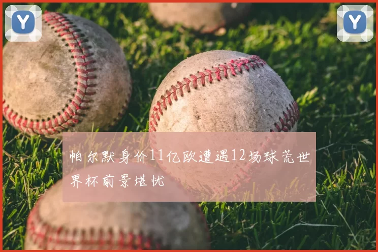 帕尔默身价11亿欧遭遇12场球荒世界杯前景堪忧