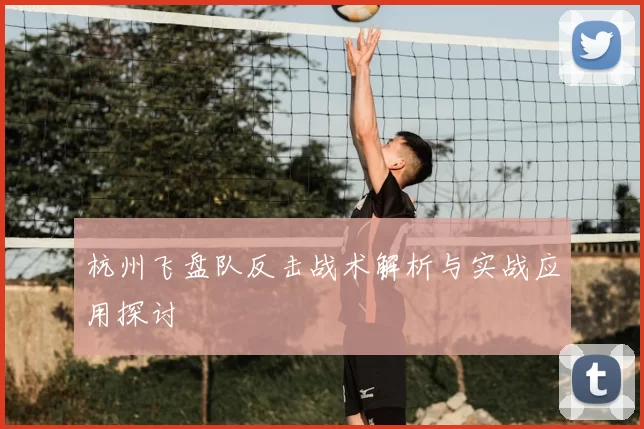 杭州飞盘队反击战术解析与实战应用探讨