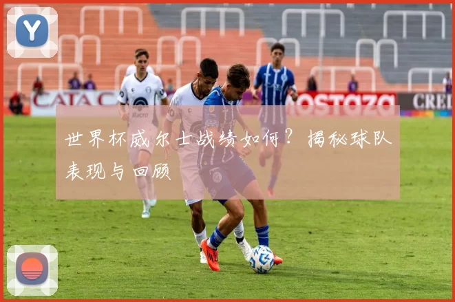 世界杯威尔士战绩如何？揭秘球队表现与回顾
