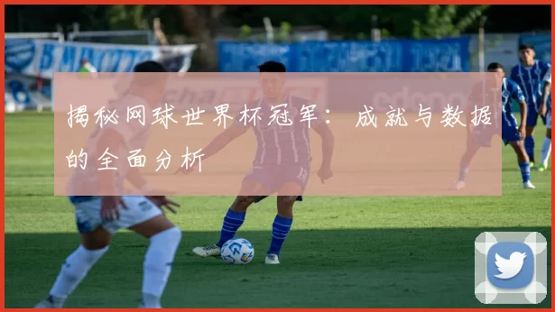 揭秘网球世界杯冠军：成就与数据的全面分析