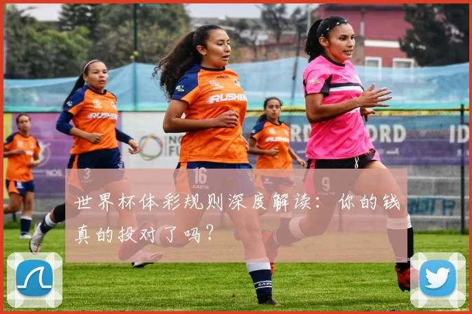 世界杯体彩规则深度解读:你的钱真的投对了吗?