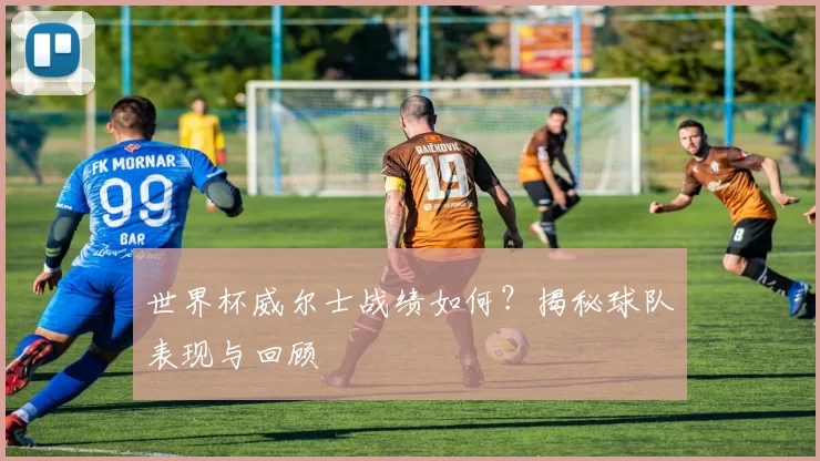 世界杯威尔士战绩如何？揭秘球队表现与回顾