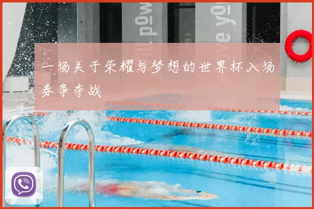 一场关于荣耀与梦想的世界杯入场券争夺战