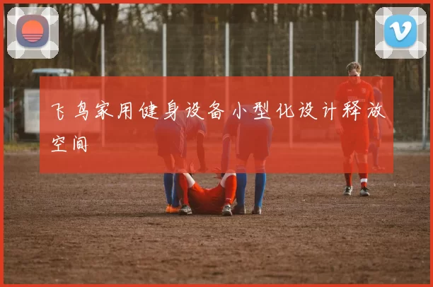 飞鸟家用健身设备小型化设计释放空间