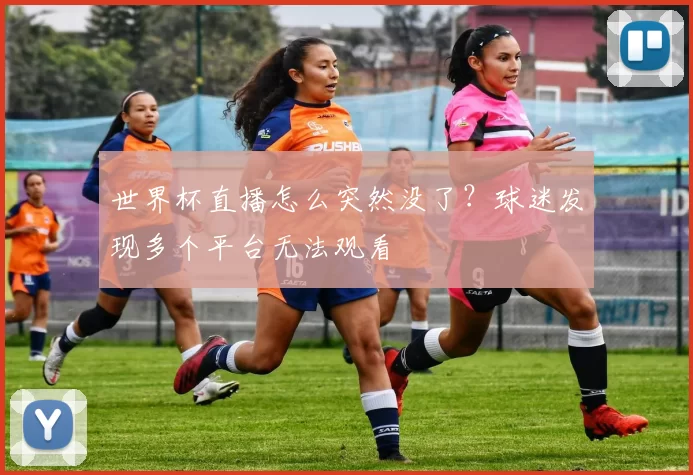 世界杯直播怎么突然没了?球迷发现多个平台无法观看
