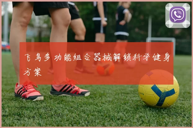 飞鸟多功能组合器械解锁科学健身方案