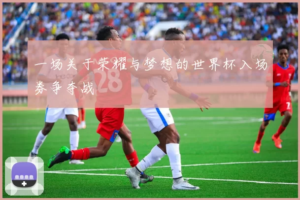 一场关于荣耀与梦想的世界杯入场券争夺战
