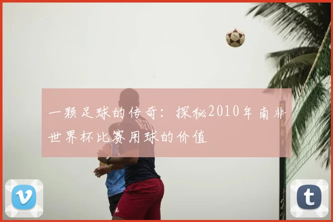 一颗足球的传奇:探秘2010年南非世界杯比赛用球的价值