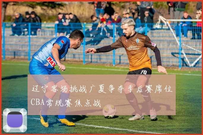 辽宁客场挑战广夏争夺季后赛席位CBA常规赛焦点战