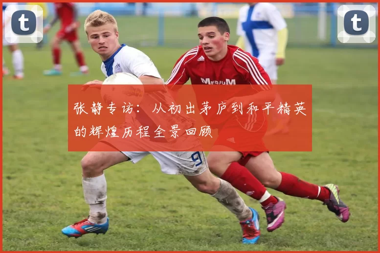 张静专访：从初出茅庐到和平精英的辉煌历程全景回顾
