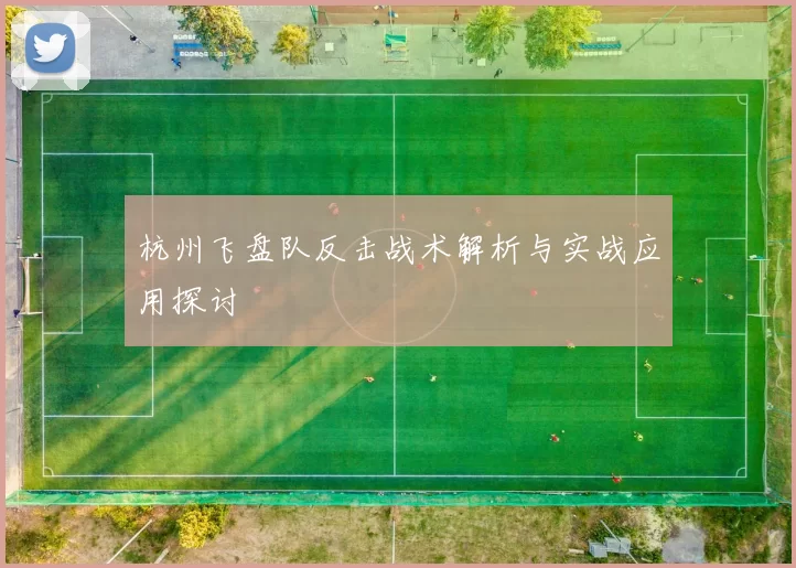 杭州飞盘队反击战术解析与实战应用探讨