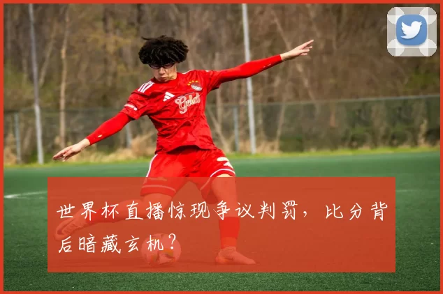 世界杯直播惊现争议判罚,比分背后暗藏玄机?